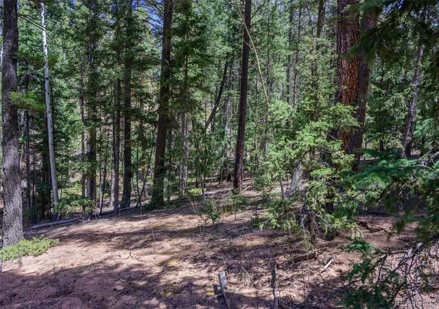 Homes for sale in Florissant, CO | 2763 N Mountain Estates Rd, Florissant, CO 80816 | MLS# 6182191