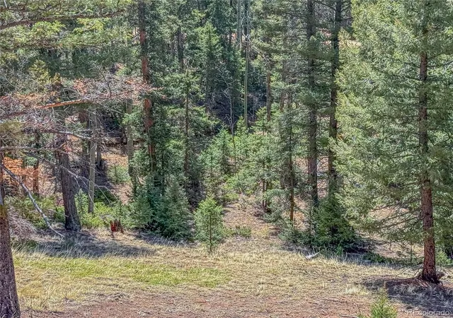 Homes for sale in Florissant, CO | 2763 N Mountain Estates Rd, Florissant, CO 80816 | MLS# 6182191