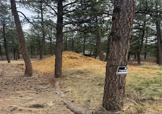 Homes for sale in Larkspur, CO | 636 Copper Fox Pl, Larkspur, CO 80118 | MLS# 6477371