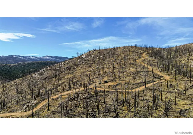 Homes for sale in Bellvue, CO | 3600 Moondance Wy, Bellvue, CO 80512 | MLS# IR1056835