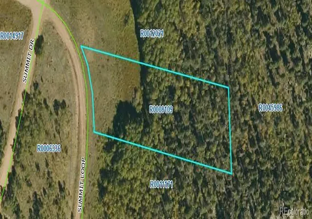 Homes for sale in Florissant, CO | 266 Summit Loop, Florissant, CO 80816 | MLS# 4059179
