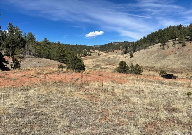 Homes for sale in Cripple Creek, CO | 323 Gold King Dr, Cripple Creek, CO 80813 | MLS# 2546684