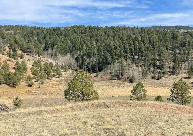 Homes for sale in Cripple Creek, CO | 323 Gold King Dr, Cripple Creek, CO 80813 | MLS# 2546684