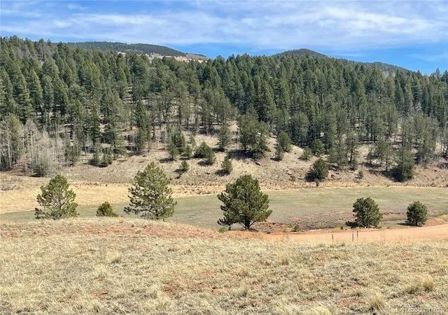 Homes for sale in Cripple Creek, CO | 323 Gold King Dr, Cripple Creek, CO 80813 | MLS# 2546684