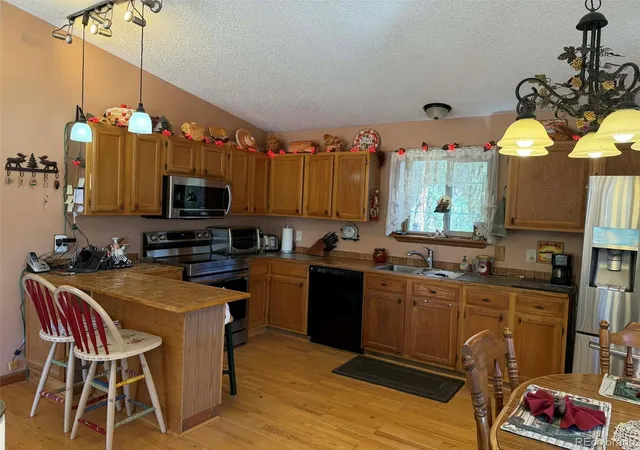 Homes for sale in Pine, CO | 33623 Smith Rd, Pine, CO 80470 | MLS# 8378650
