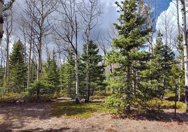 Homes for sale in Cripple Creek, CO | 12201 S State Hwy 67, Cripple Creek, CO 80813 | MLS# 4283189