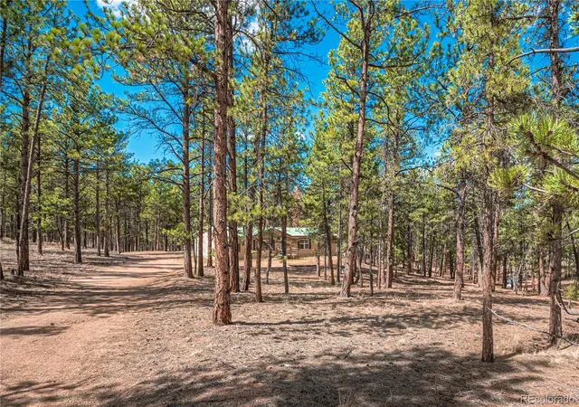 Homes for sale in Florissant, CO | 2675 Pikes Peak Dr, Florissant, CO 80816 | MLS# 3434120