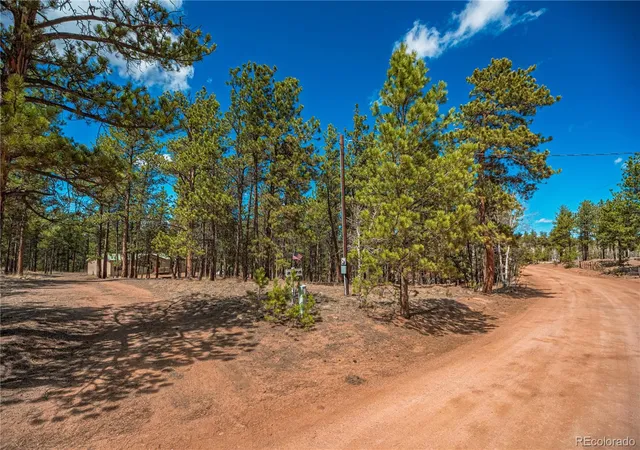 Homes for sale in Florissant, CO | 2675 Pikes Peak Dr, Florissant, CO 80816 | MLS# 3434120