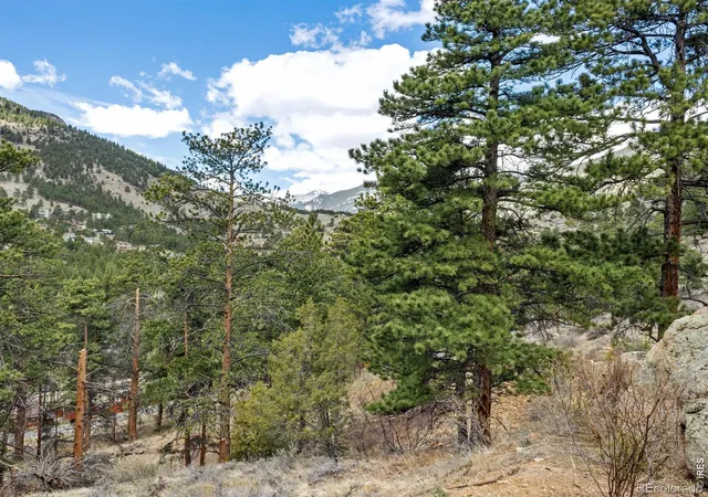 4th image of 825 Castle Mountain Rd, Estes Park, CO 80517 | MLS# IR1056949