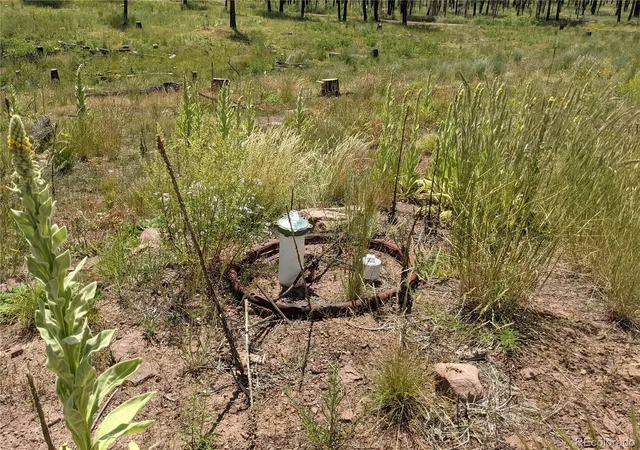 Photo 5 of Land for sale at 549-551 Drevs Pl, Fort Garland, CO 81133 | MLS# 4239653 | Listing updated on 2026-04-19