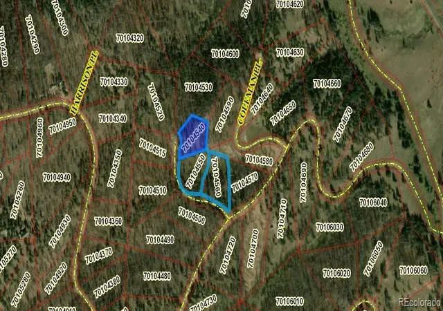 Photo 9 of Land for sale at 549 551 Drevs Pl, Fort Garland, CO 81133 | MLS# 4239653 | Listing updated on 2026-04-19