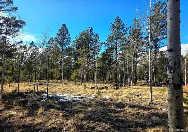 Homes for sale in Lake George, CO | 2063 Vagabond Creek Dr, Lake George, CO 80827 | MLS# 9239411