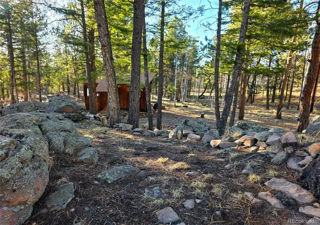 Homes for sale in Lake George, CO | 2063 Vagabond Creek Dr, Lake George, CO 80827 | MLS# 9239411