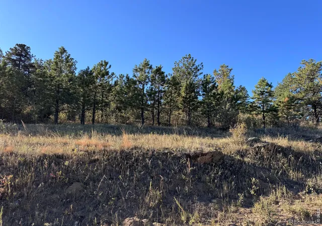 Homes for sale in Drake, CO | 938 Snow Top Dr, Drake, CO 80515 | MLS# IR1056977