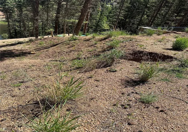 1st image of 67 Gerka Ln, Florissant, CO 80816 | MLS# 8555940
