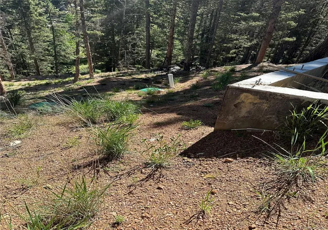 4th image of 67 Gerka Ln, Florissant, CO 80816 | MLS# 8555940