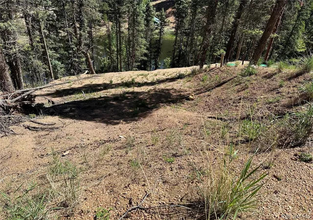 5th image of 67 Gerka Ln, Florissant, CO 80816 | MLS# 8555940