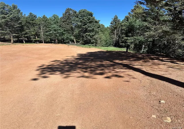 7th image of 67 Gerka Ln, Florissant, CO 80816 | MLS# 8555940