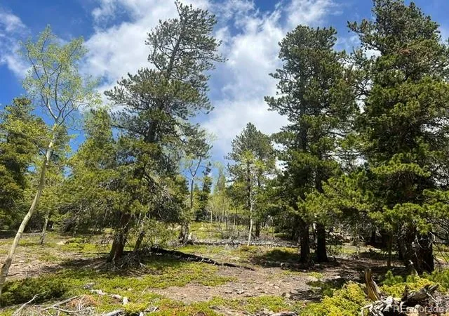 Homes for sale in Idaho Springs, CO | 001 Sunny Skies Trl, Idaho Springs, CO 80452 | MLS# 9197194