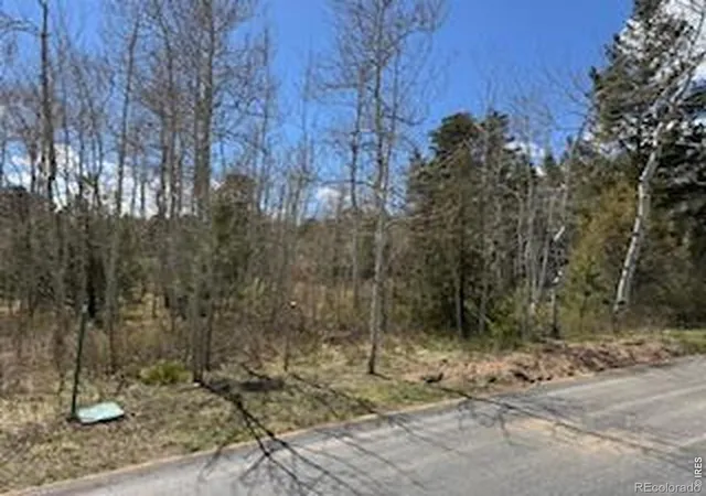 Homes for sale in Red Feather Lakes, CO | 400 Fox Acres Dr W, Red Feather Lakes, CO 80545 | MLS# IR1057005