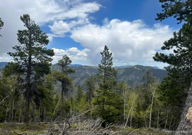 Homes for sale in Idaho Springs, CO | 002 Sunny Skies Trl, Idaho Springs, CO 80452 | MLS# 8646075