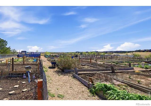 Homes for sale in Superior, CO | 2040 Shamrock Drive, Superior, CO 80027 | Houzeo