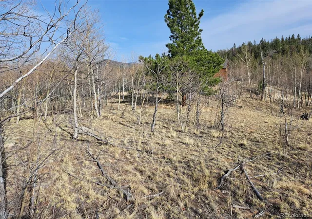 Homes for sale in Como, CO | 93 Wyandot Wy, Como, CO 80432 | MLS# 6461043