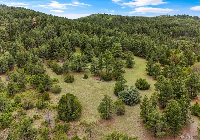 50th image of 8716 National Forest Dr, Beulah, CO 81023 | MLS# 7766971