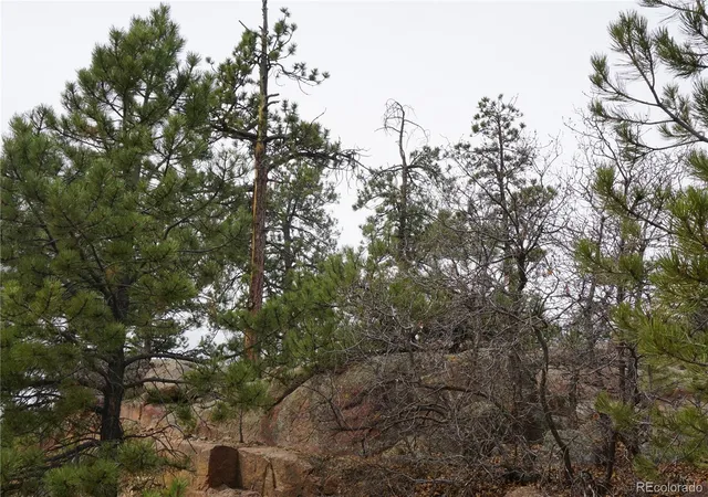 Homes for sale in Cripple Creek, CO | 1893 Arapahoe Dr, Cripple Creek, CO 80813 | MLS# 8507672