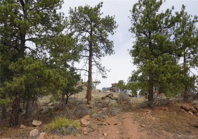 Homes for sale in Cripple Creek, CO | 1893 Arapahoe Dr, Cripple Creek, CO 80813 | MLS# 8507672