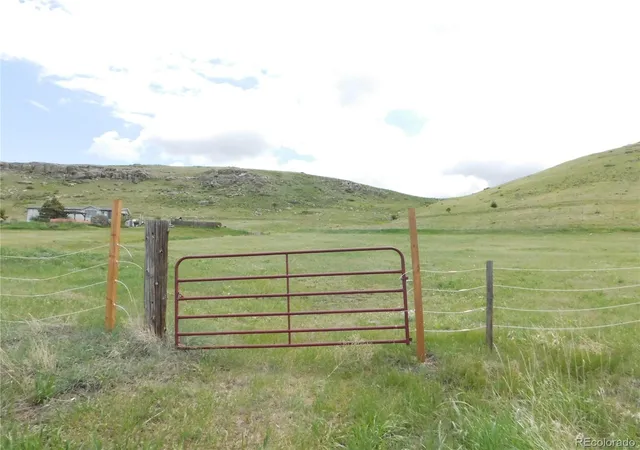 Homes for sale in Larkspur, CO | 11972 Haskel Creek Rd, Larkspur, CO 80118 | MLS# 8278748