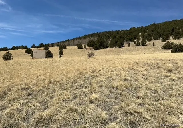 Homes for sale in Cripple Creek, CO | 00 Rhyolite Mountain Mesa, Cripple Creek, CO 80813 | MLS# 4229329