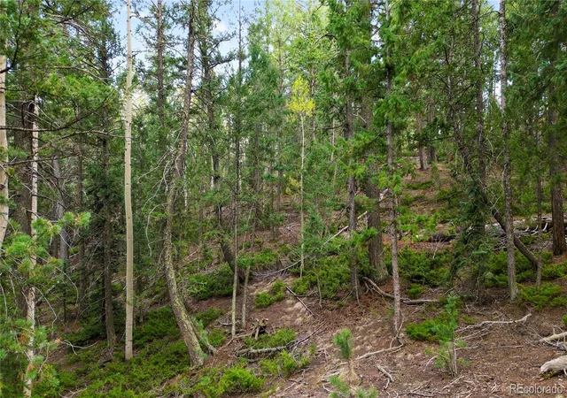3rd image of 68 Yale Pl, Woodland Park, CO 80863 | MLS# 7259161