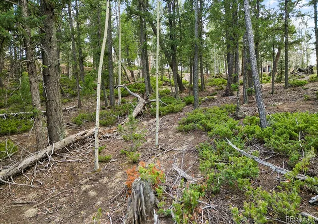 4th image of 68 Yale Pl, Woodland Park, CO 80863 | MLS# 7259161
