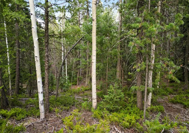 5th image of 68 Yale Pl, Woodland Park, CO 80863 | MLS# 7259161