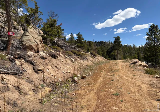 2nd image of 726 Micmac Dr, Red Feather Lakes, CO 80545 | MLS# IR1057215