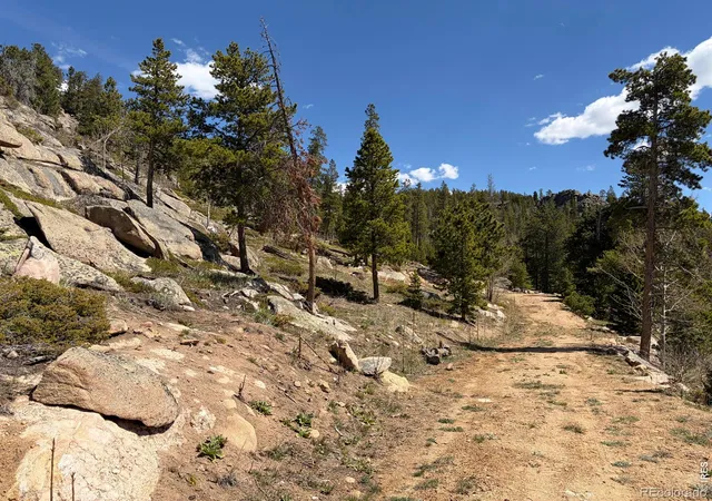 3rd image of 726 Micmac Dr, Red Feather Lakes, CO 80545 | MLS# IR1057215
