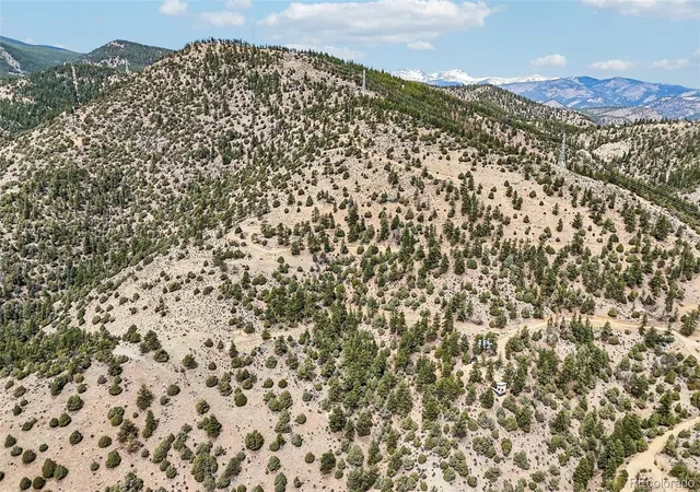 Homes for sale in Idaho Springs, CO | 257 Wildlife Trl, Idaho Springs, CO 80452 | MLS# 6081222