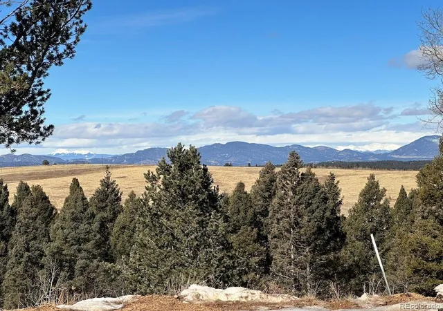 Homes for sale in Divide, CO | 4600 Elk Valley Rd, Divide, CO 80814 | MLS# 7420882