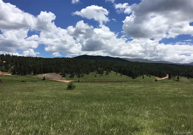 Homes for sale in Divide, CO | 4600 Elk Valley Rd, Divide, CO 80814 | MLS# 7420882