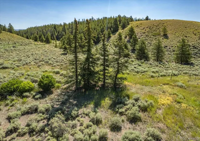 Photo 3 of Land for sale at 8361 Bank Placer, Leadville, CO 80461 | MLS# 5757429 | Listing updated on 2026-06-11