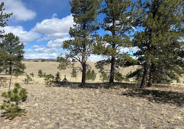 Photo 1 of Land for sale at 517 Brahma Cir, Hartsel, CO 80449 | MLS# 2187017 | Listing updated on 2026-04-28
