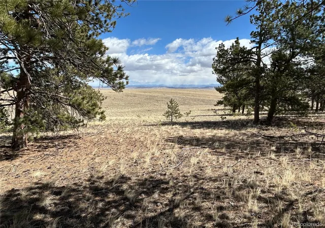 Photo 2 of Land for sale at 517 Brahma Cir, Hartsel, CO 80449 | MLS# 2187017 | Listing updated on 2026-04-28