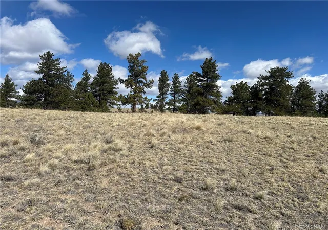 Photo 3 of Land for sale at 517 Brahma Cir, Hartsel, CO 80449 | MLS# 2187017 | Listing updated on 2026-04-28