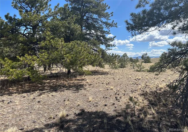 Photo 4 of Land for sale at 517 Brahma Cir, Hartsel, CO 80449 | MLS# 2187017 | Listing updated on 2026-04-28