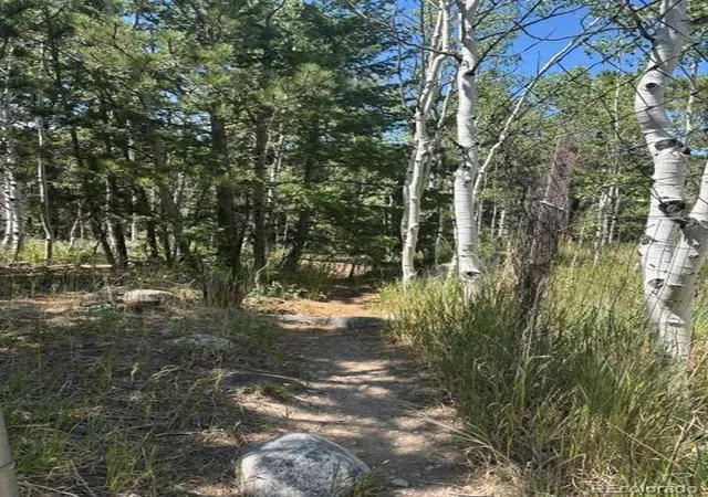 Photo 14 of Land for sale at 105 Caribou St, Nederland, CO 80466 | MLS# 8021512 | Listing updated on 2026-08-18