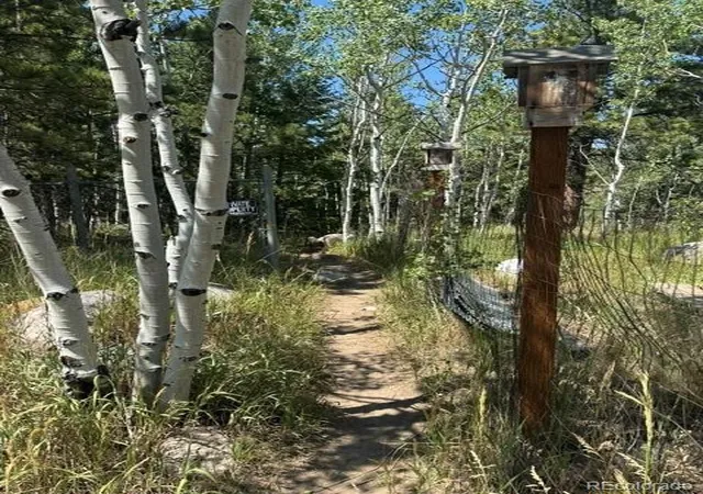 Photo 2 of Land for sale at 105 Caribou St, Nederland, CO 80466 | MLS# 8021512 | Listing updated on 2026-08-18