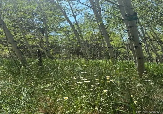 Photo 3 of Land for sale at 105 Caribou St, Nederland, CO 80466 | MLS# 8021512 | Listing updated on 2026-08-18