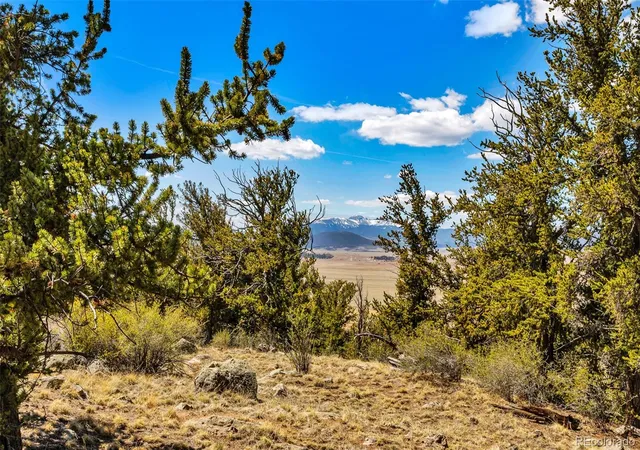 4th image of 5013 Middle Fork Vis, Fairplay, CO 80440 | MLS# 2966663