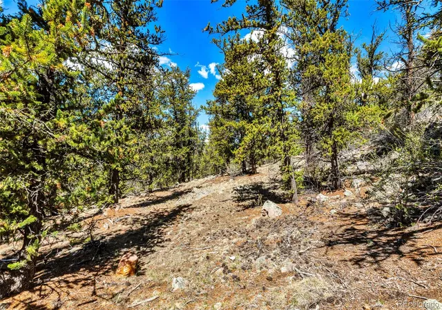 49th image of 5013 Middle Fork Vis, Fairplay, CO 80440 | MLS# 2966663